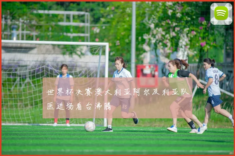 世界杯决赛澳大利亚阿尔及利亚队医进场看台沸腾