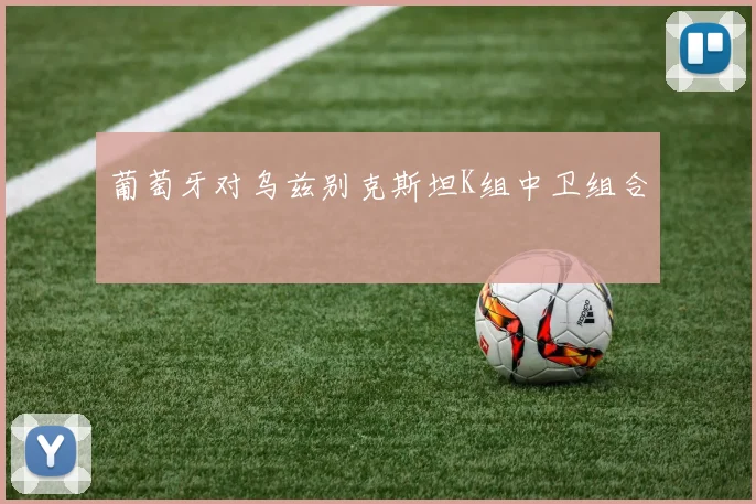 葡萄牙对乌兹别克斯坦K组中卫组合