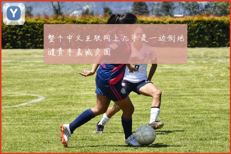 整个中文互联网上几乎是一边倒地谴责李嘉诚卖国
