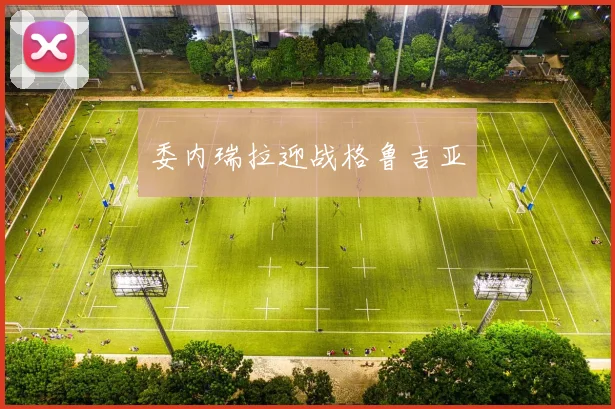 委内瑞拉迎战格鲁吉亚