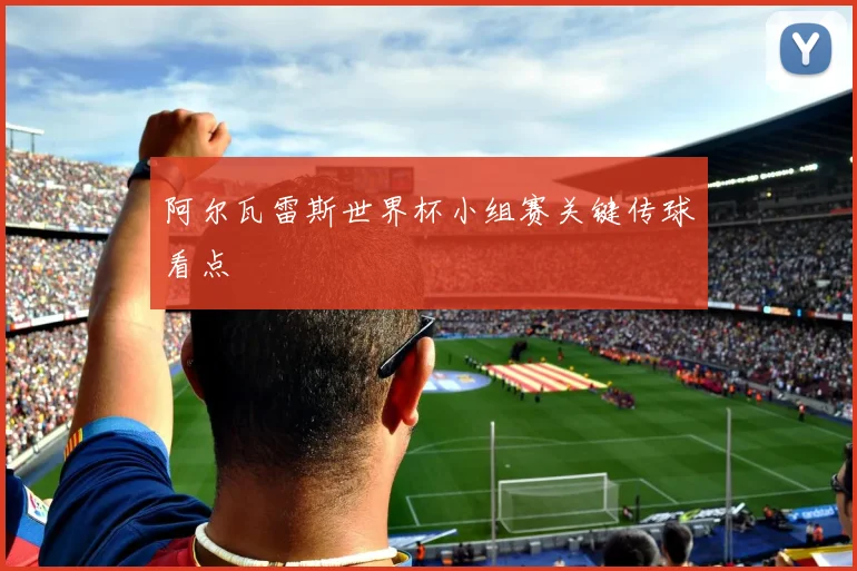 阿尔瓦雷斯世界杯小组赛关键传球看点