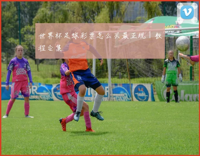 世界杯足球彩票怎么买最正规｜教程合集