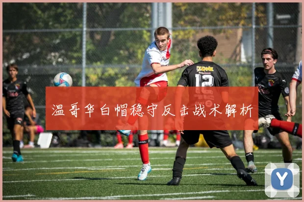 温哥华白帽稳守反击战术解析