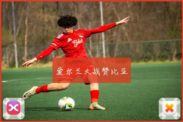 爱尔兰大战赞比亚