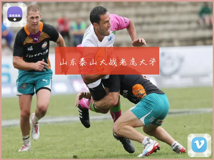 山东泰山大战老虎大学