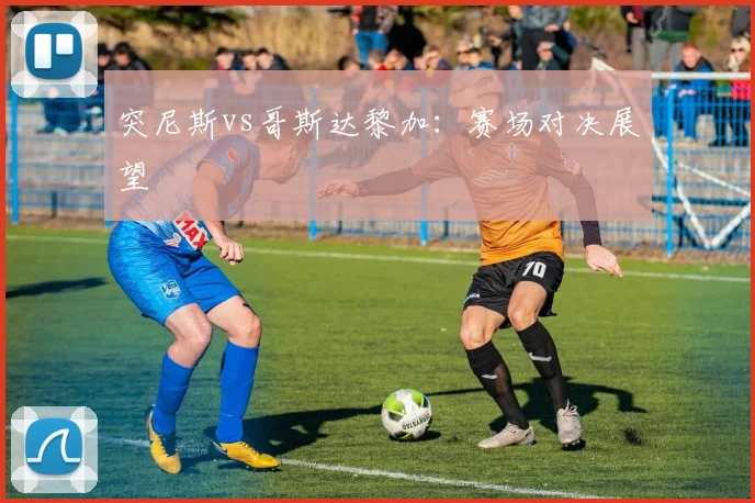 突尼斯vs哥斯达黎加：赛场对决展望