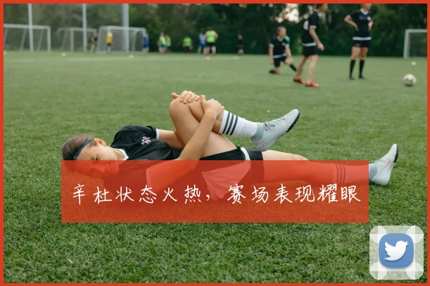 辛杜状态火热，赛场表现耀眼