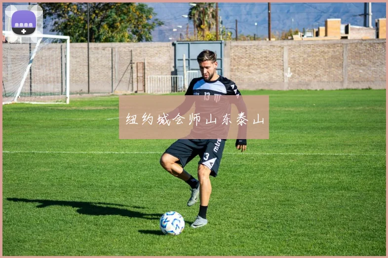 纽约城会师山东泰山