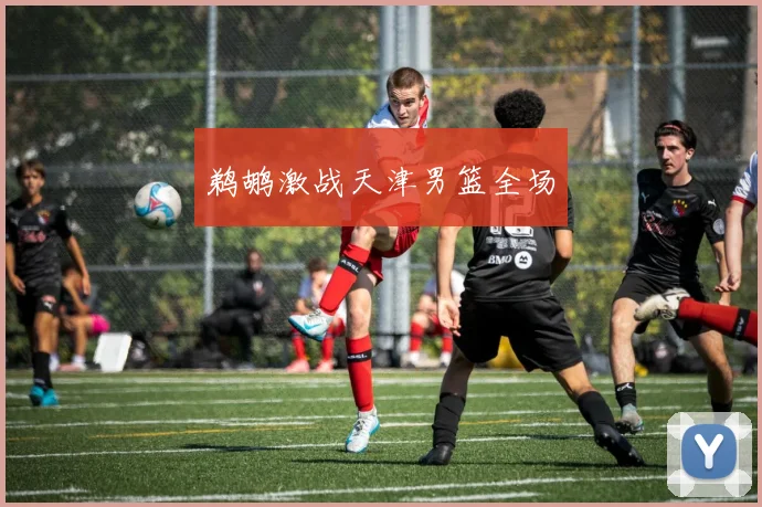 鹈鹕激战天津男篮全场