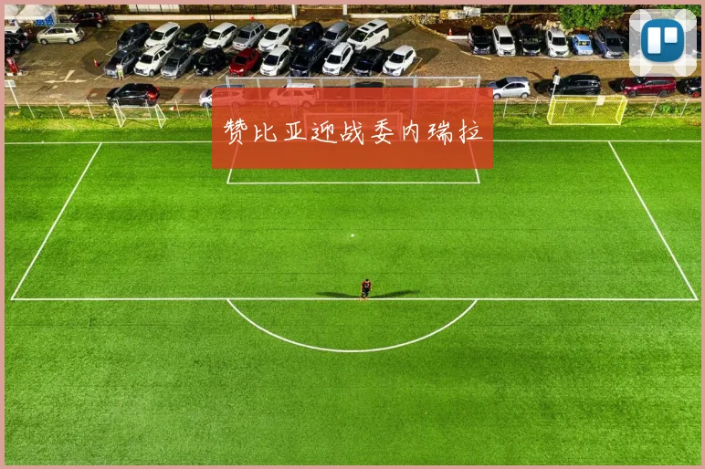 赞比亚迎战委内瑞拉