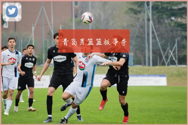 青岛男篮篮板争夺
