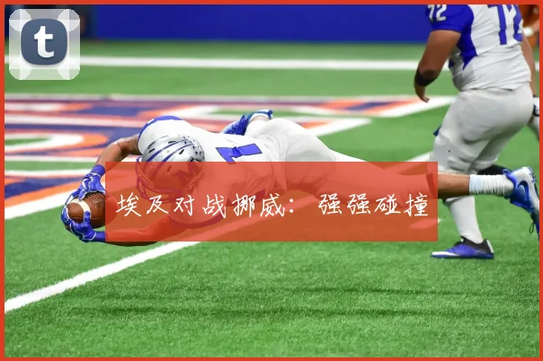 埃及对战挪威：强强碰撞