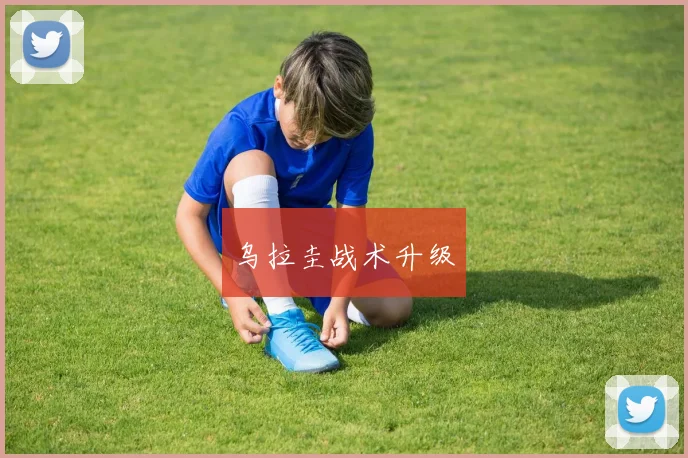 乌拉圭战术升级