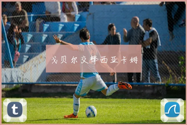 戈贝尔交锋西亚卡姆