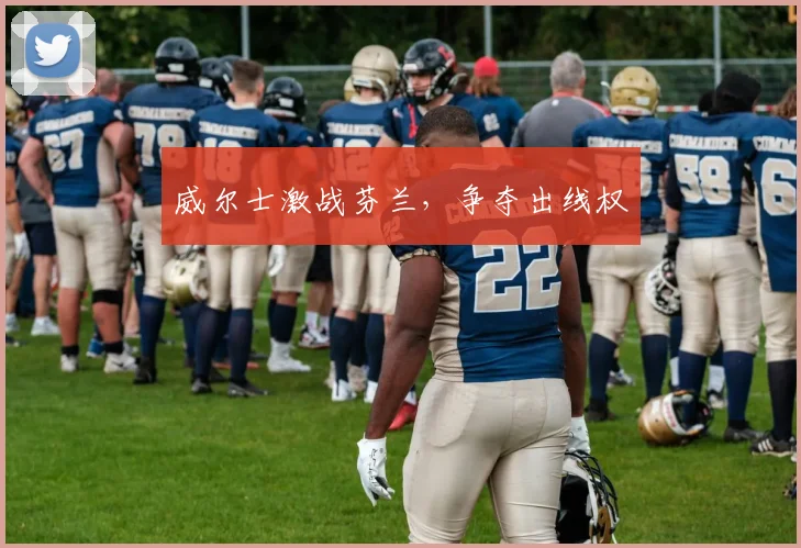 威尔士激战芬兰，争夺出线权