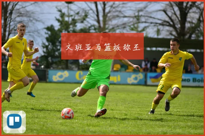 文班亚马篮板称王