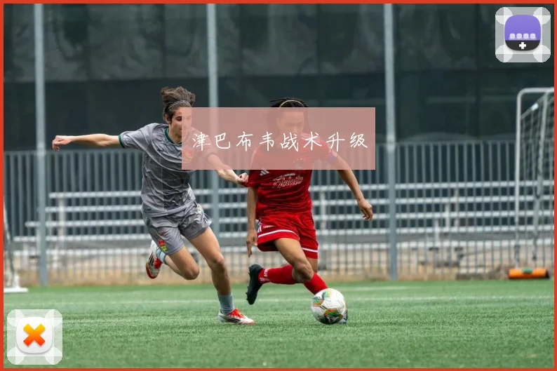 津巴布韦战术升级