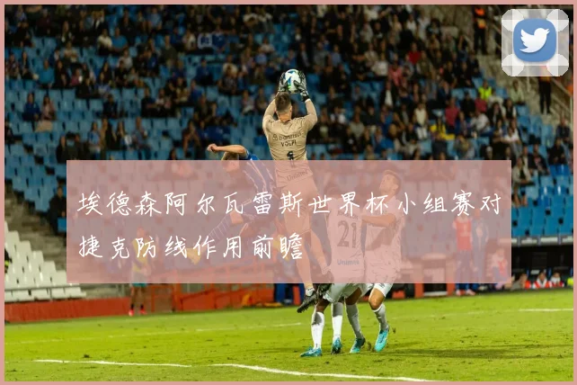 埃德森阿尔瓦雷斯世界杯小组赛对捷克防线作用前瞻