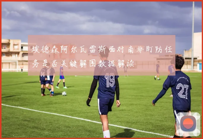 埃德森阿尔瓦雷斯面对南非盯防任务是否关键解围数据解读