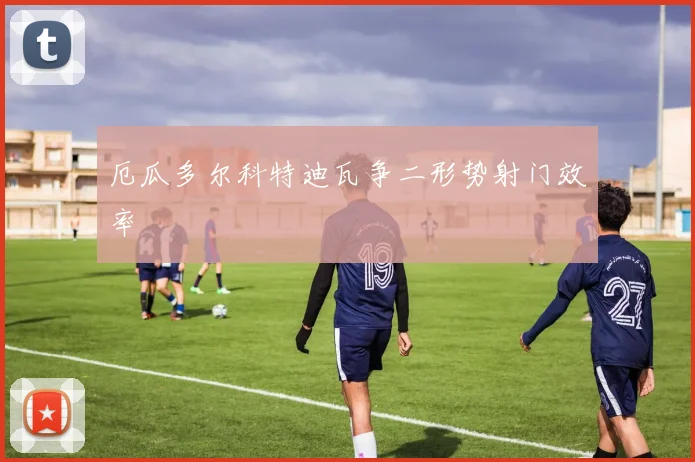 厄瓜多尔科特迪瓦争二形势射门效率