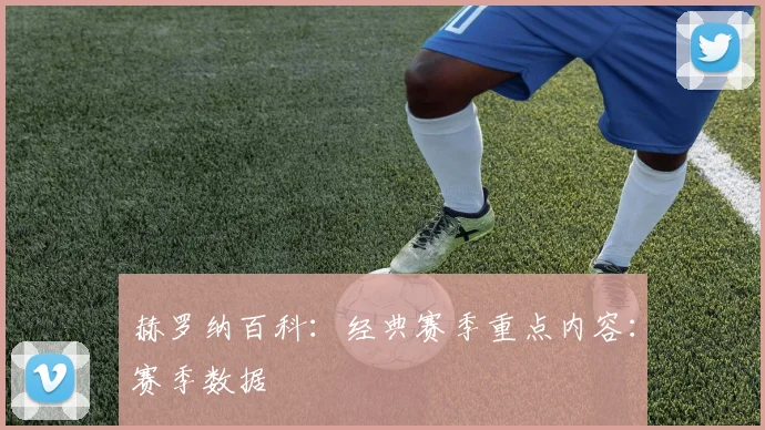 赫罗纳百科：经典赛季重点内容：赛季数据