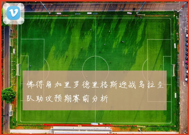 佛得角加里罗德里格斯迎战乌拉圭队助攻预期赛前分析