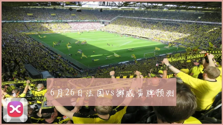 6月26日法国vs挪威黄牌预测