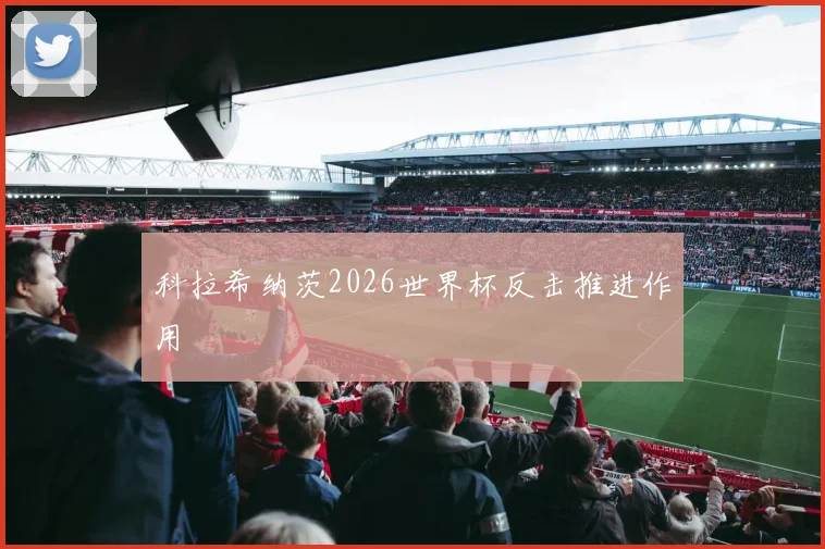 科拉希纳茨2026世界杯反击推进作用