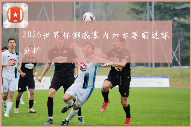 2026世界杯挪威塞内加尔赛前进球分析